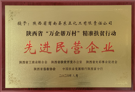 先进民营企业